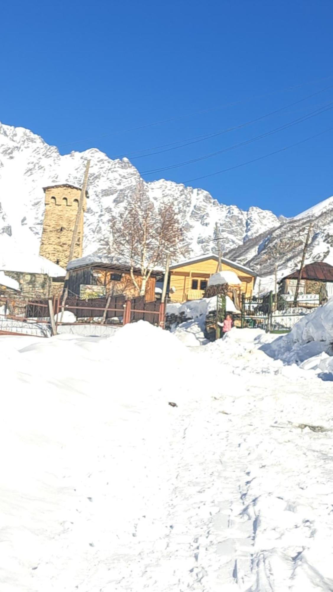 Chvibiani Guesthouse & Bar أوشغولي المظهر الخارجي الصورة